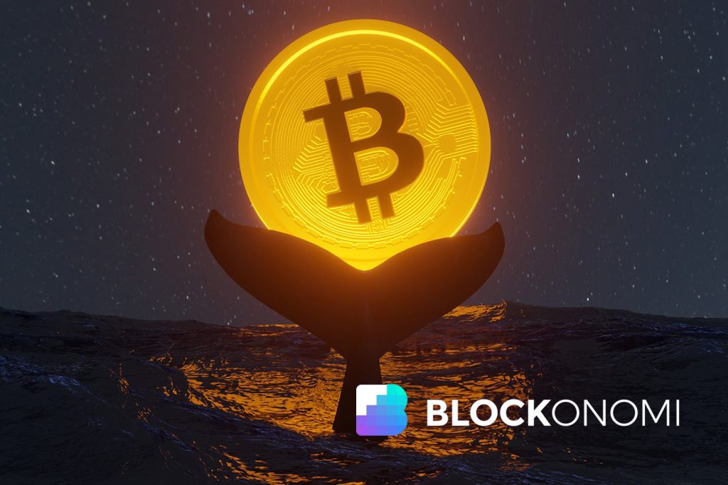Is Bitcoin Entering a Bear Market? Rising Supply in Loss Points to Growing Market Stress