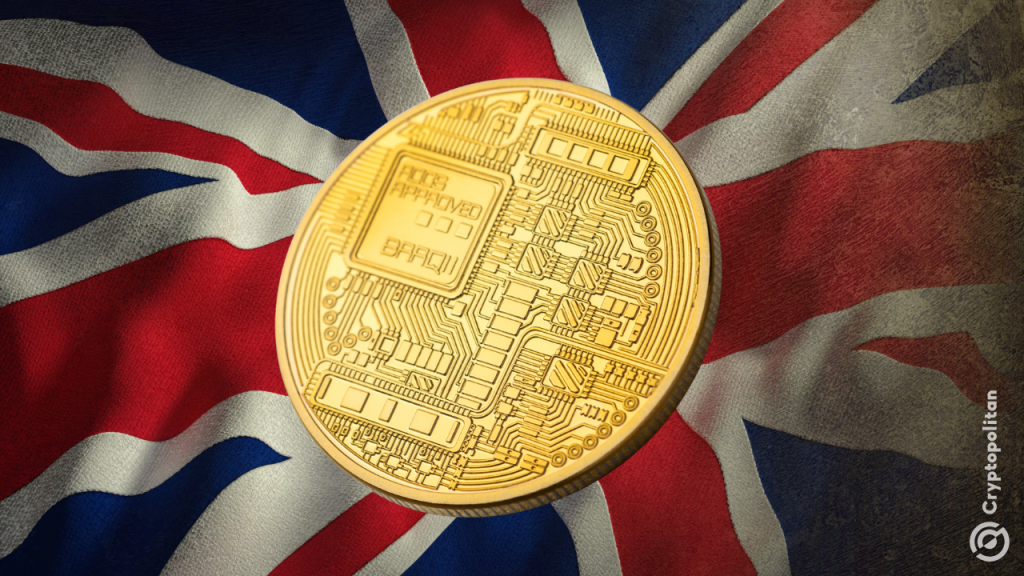 UK crypto gains sit with a young, male few, first HMRC data shows UK crypto gains sit with a young, male few, first HMRC data shows.